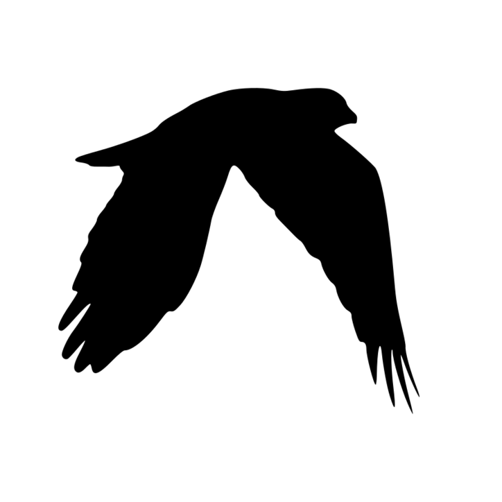 rtemis theme